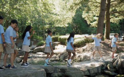 Transforming Your Business Image with Brand Video